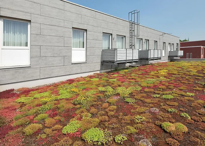 Petul Residenz فندق 3*